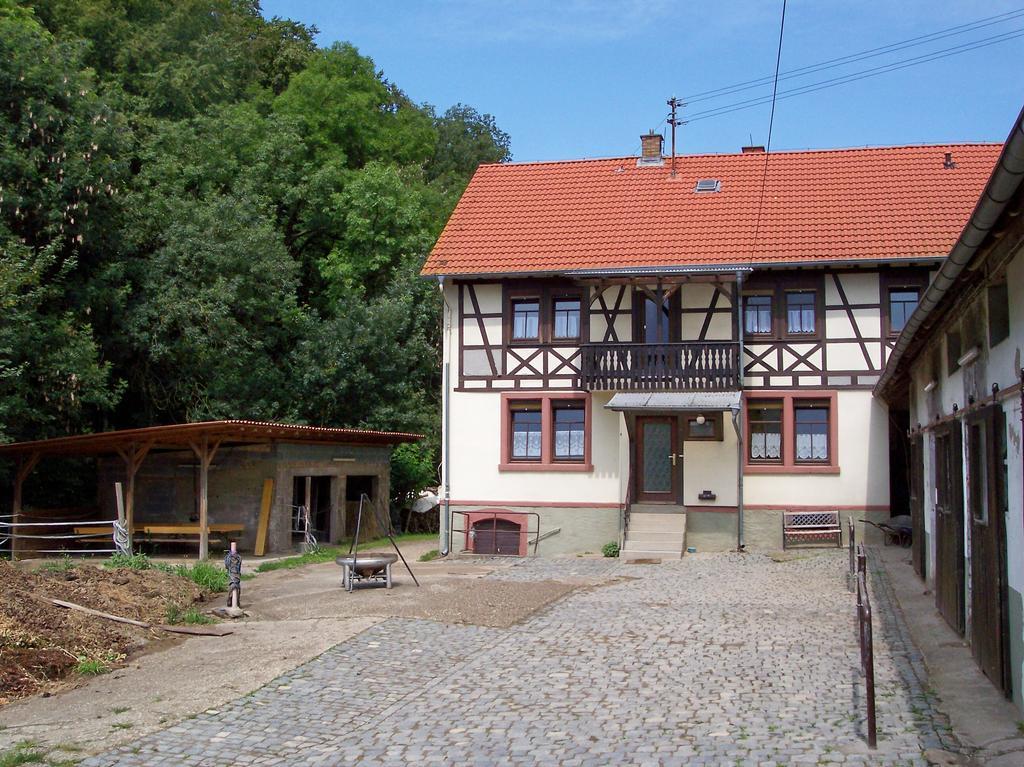Pferdehof Und Wanderreitstation Doersam Mörlenbach Exterior foto
