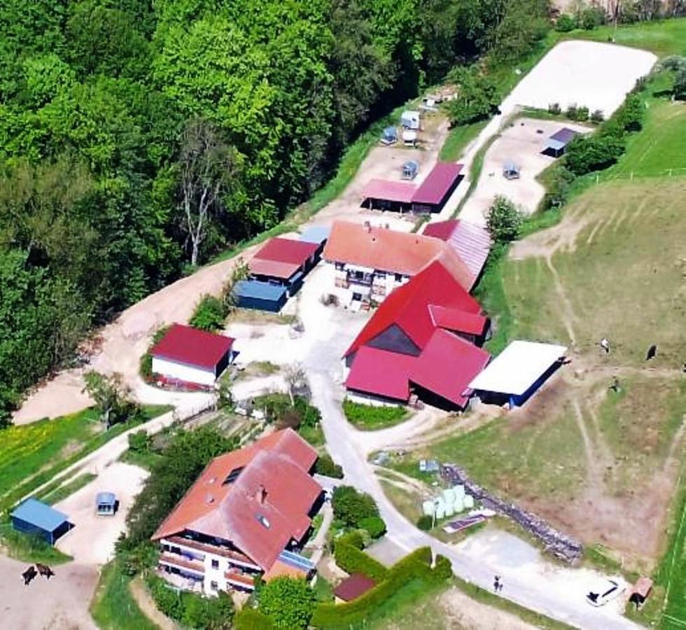 Pferdehof Und Wanderreitstation Doersam Mörlenbach Exterior foto